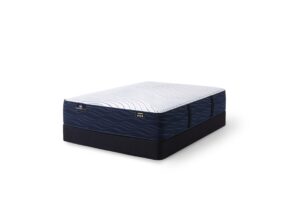 ECO_S40HD_Smooth_Hybrid_Plush image