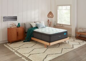 Beautyrest Mattresses