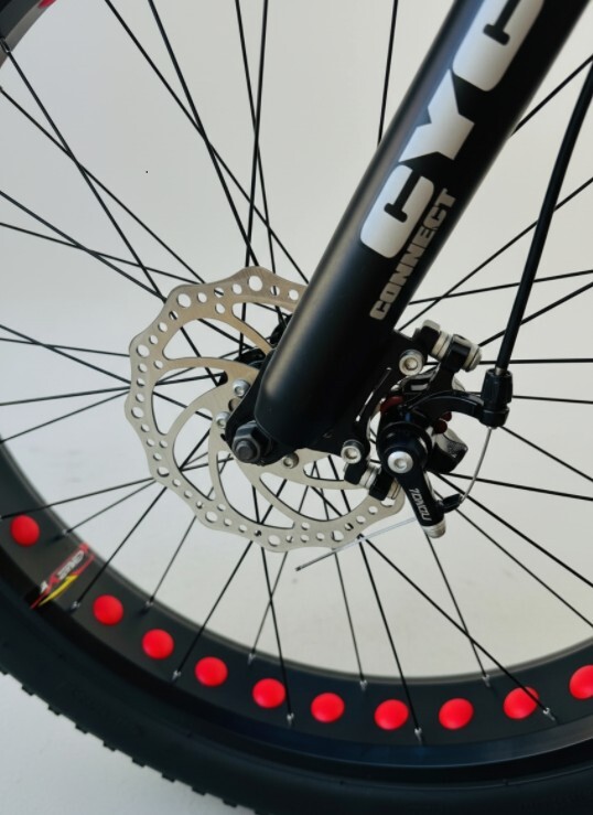 Fat_Bike-4