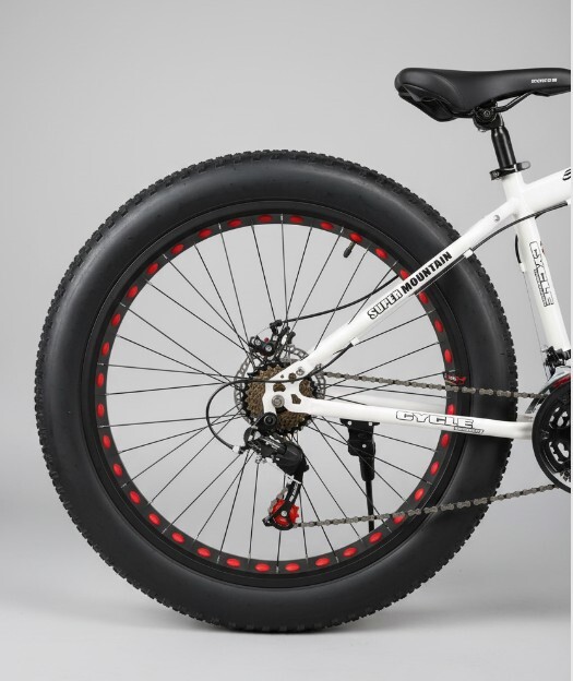 Fat_Bike-7
